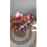 Bouquet de fleurs d'automne